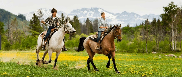Confident plus-size woman riding Daventry a horse through a field with a smile on her face.
